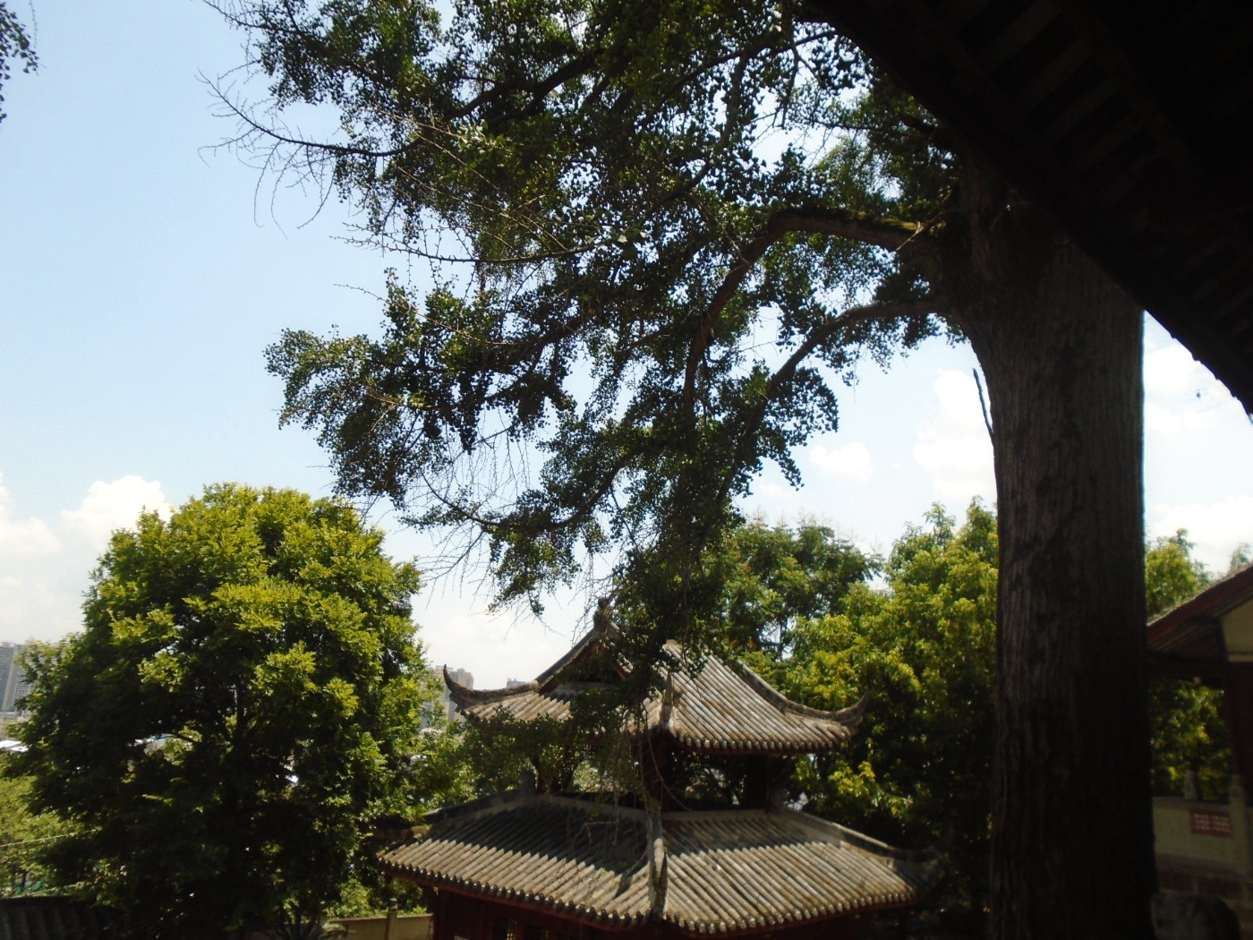 DSC01727.JPG