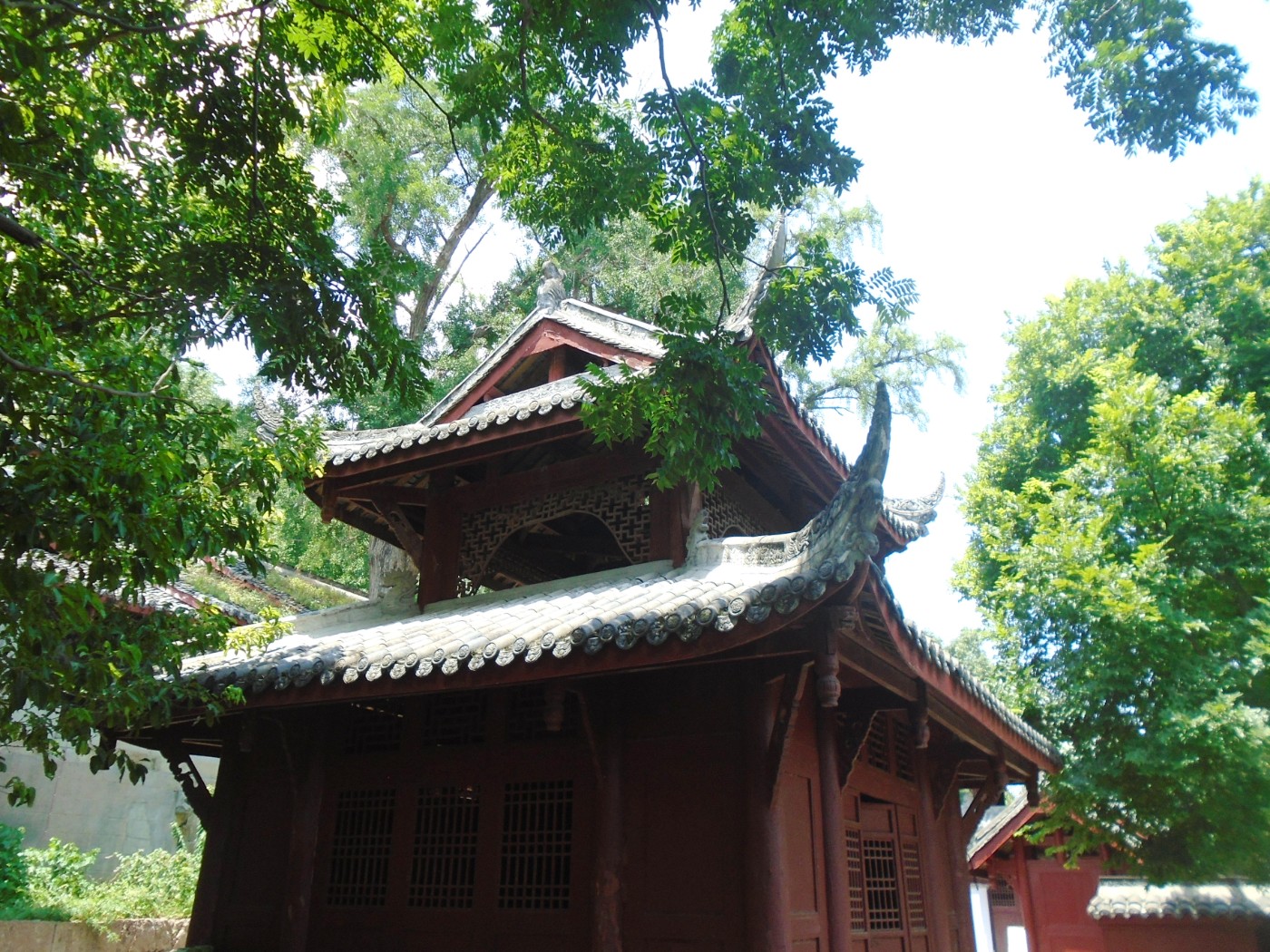 DSC01722.JPG