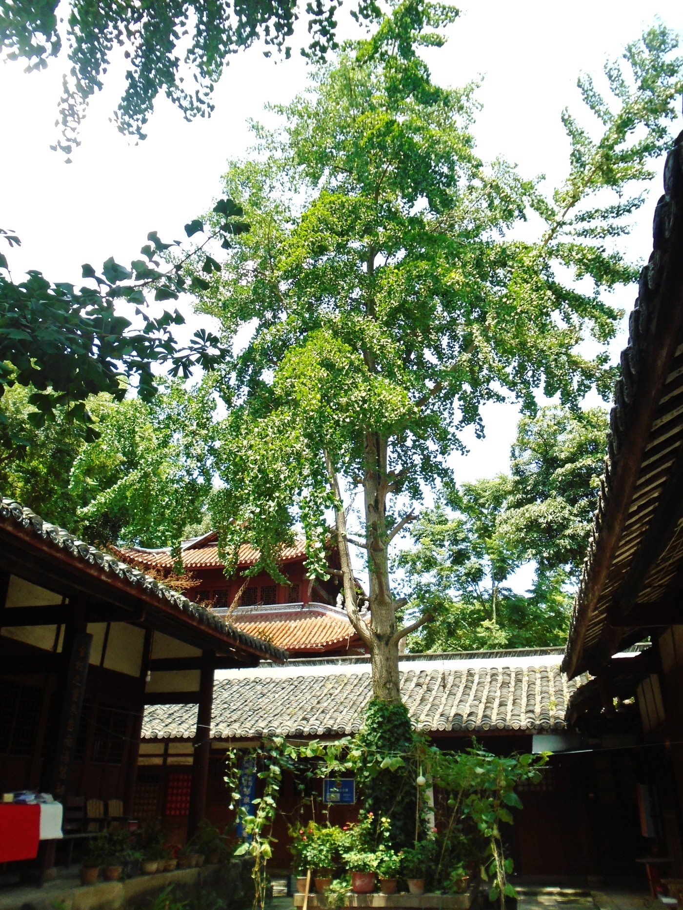 DSC01734.JPG