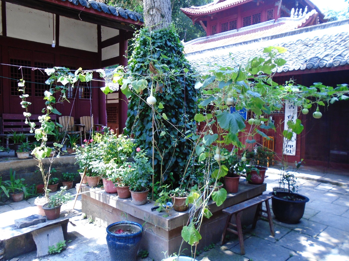 DSC01735.JPG