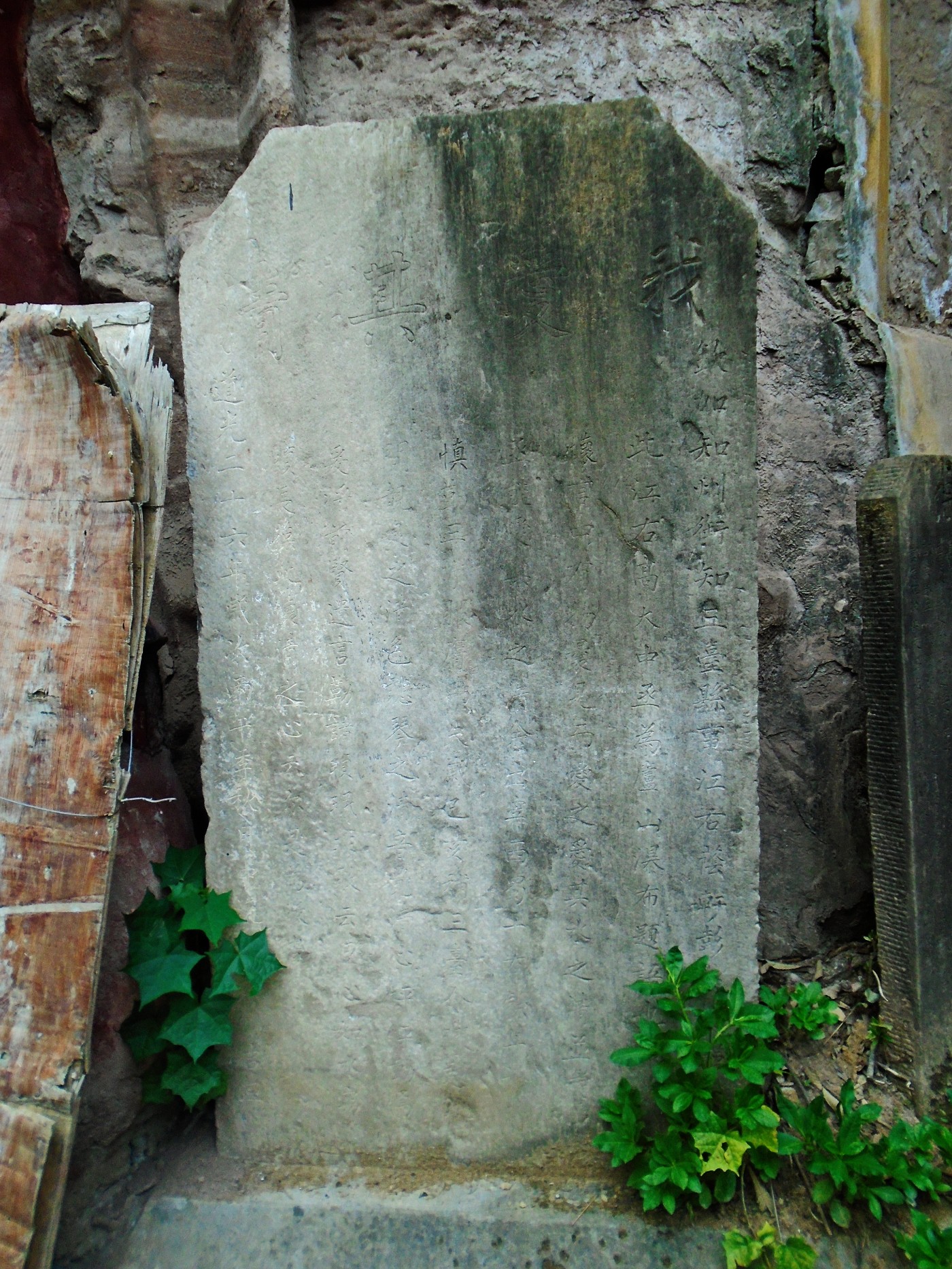 DSC01750.JPG