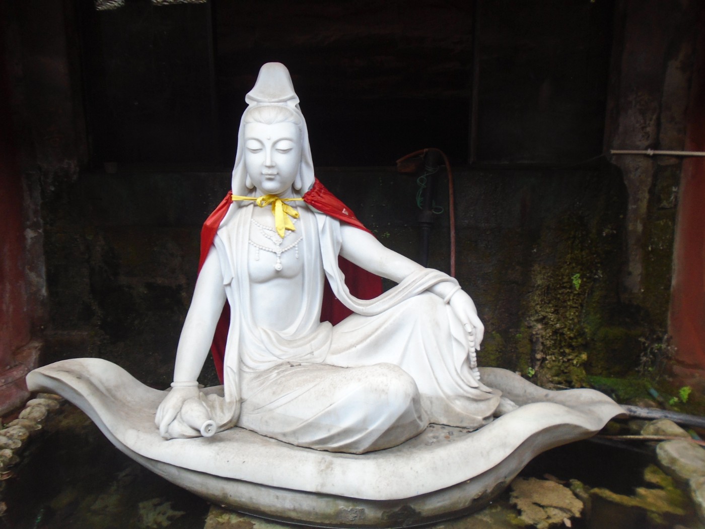 DSC01754.JPG