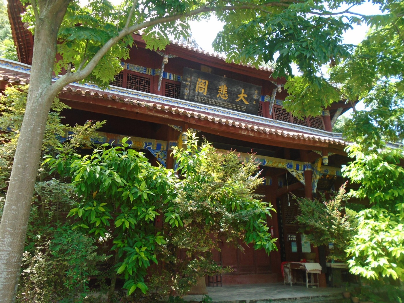 DSC01767.JPG