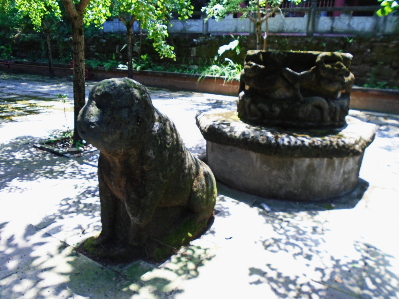 DSC01770.JPG