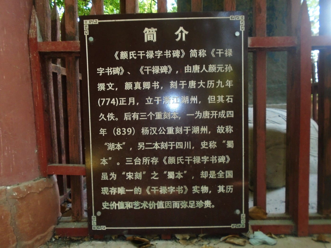 DSC01772.JPG