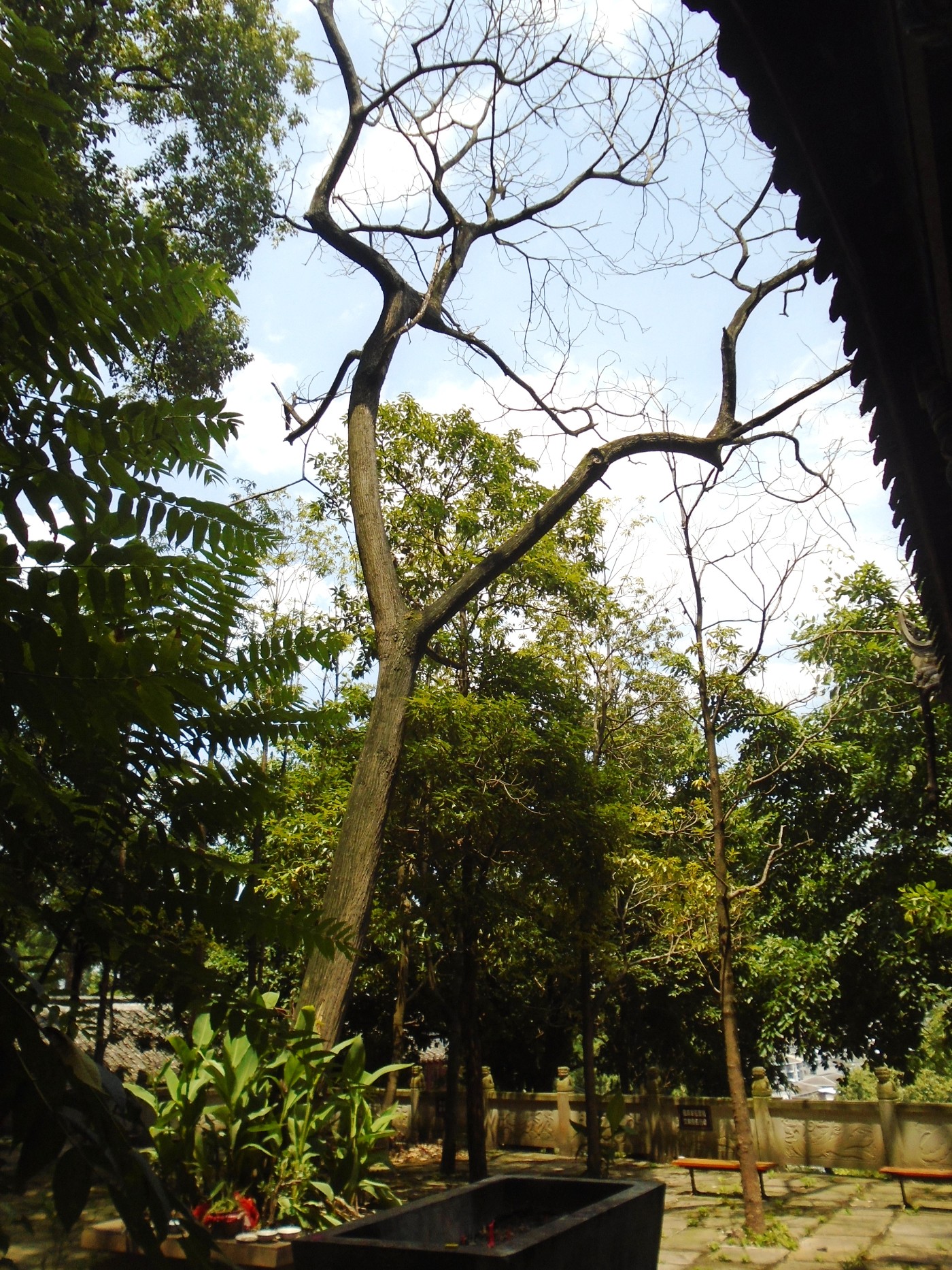 DSC01793.JPG