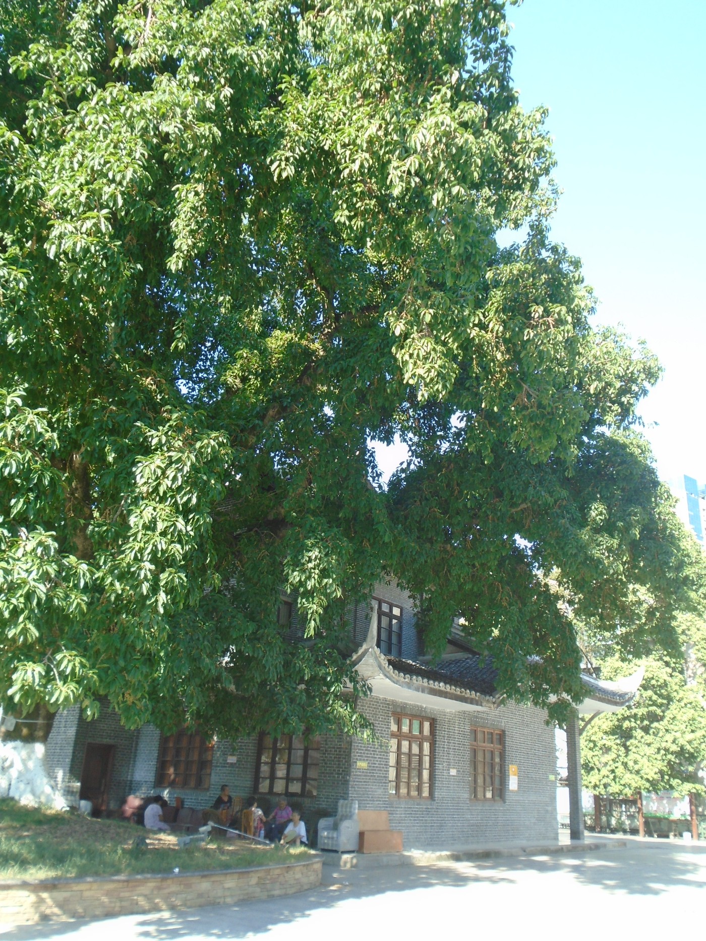 DSC01977.JPG