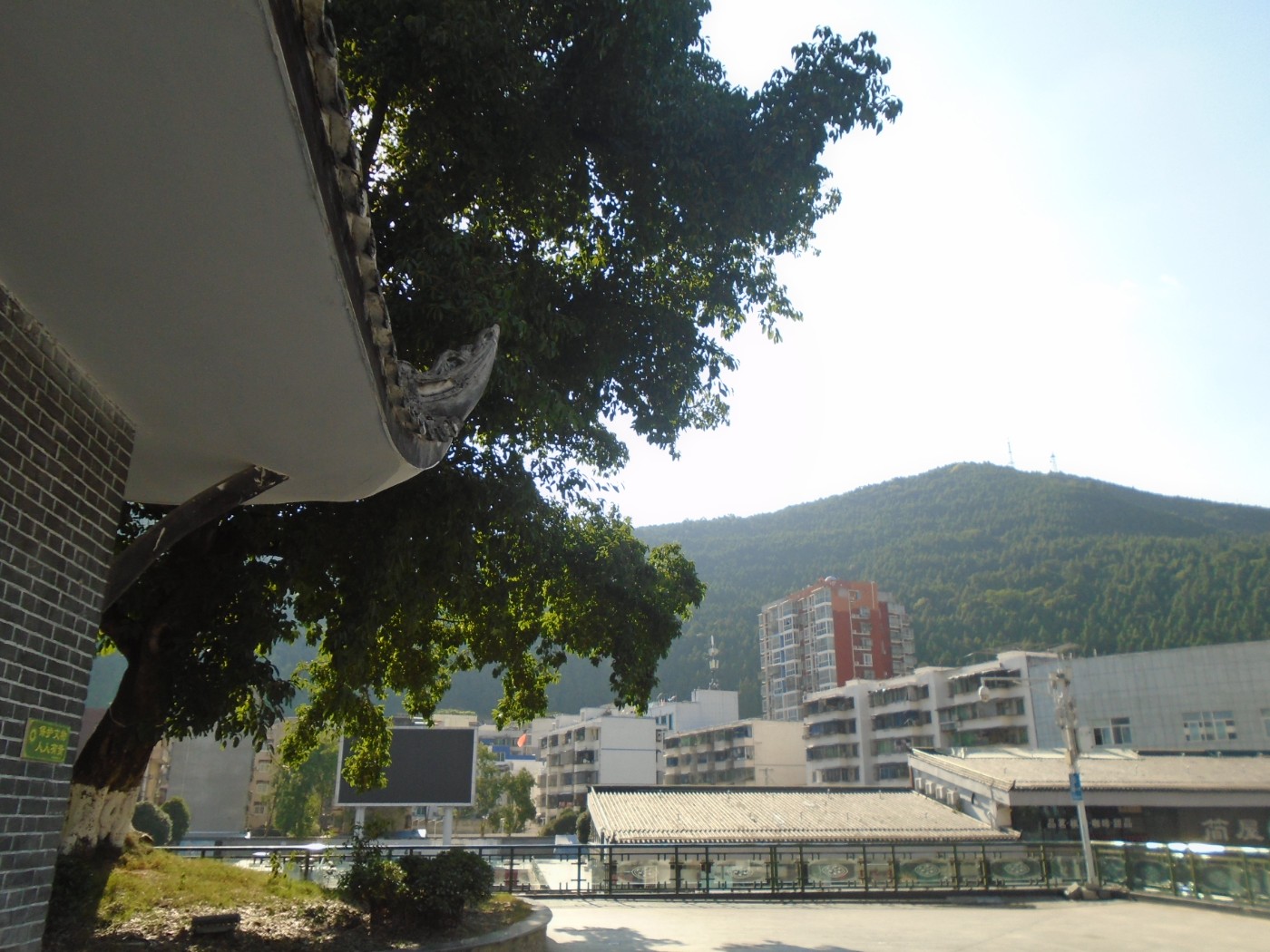 DSC01981.JPG