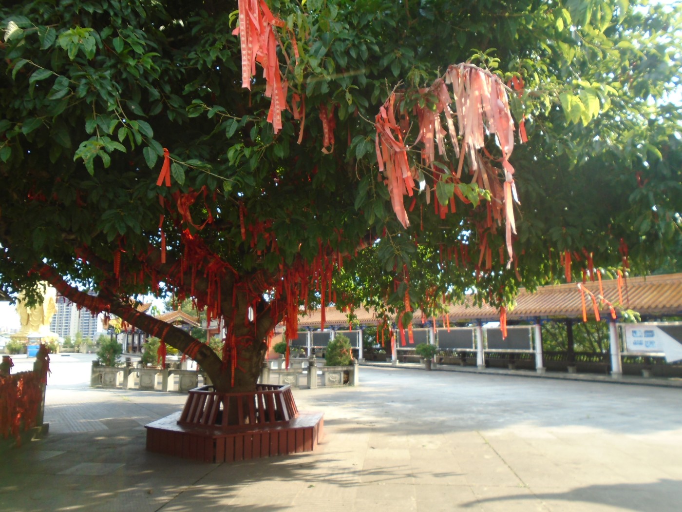 DSC02062.JPG