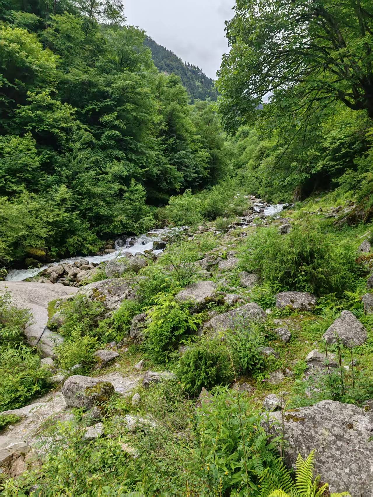 ΢��ͼƬ_20260614151123_2139_2.jpg