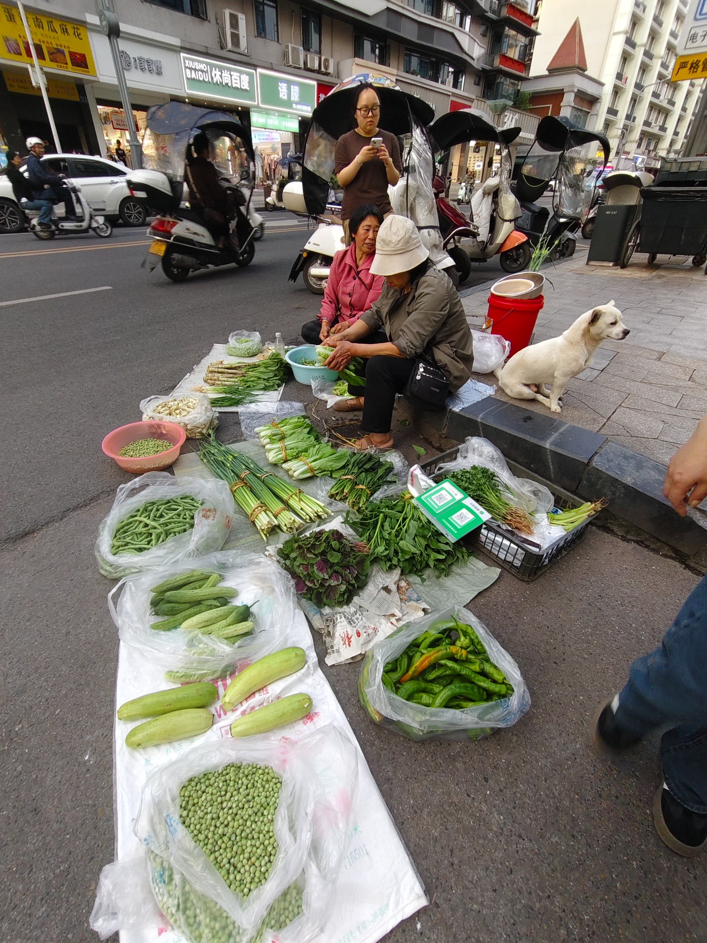 IMG_20260430_185539.jpg
