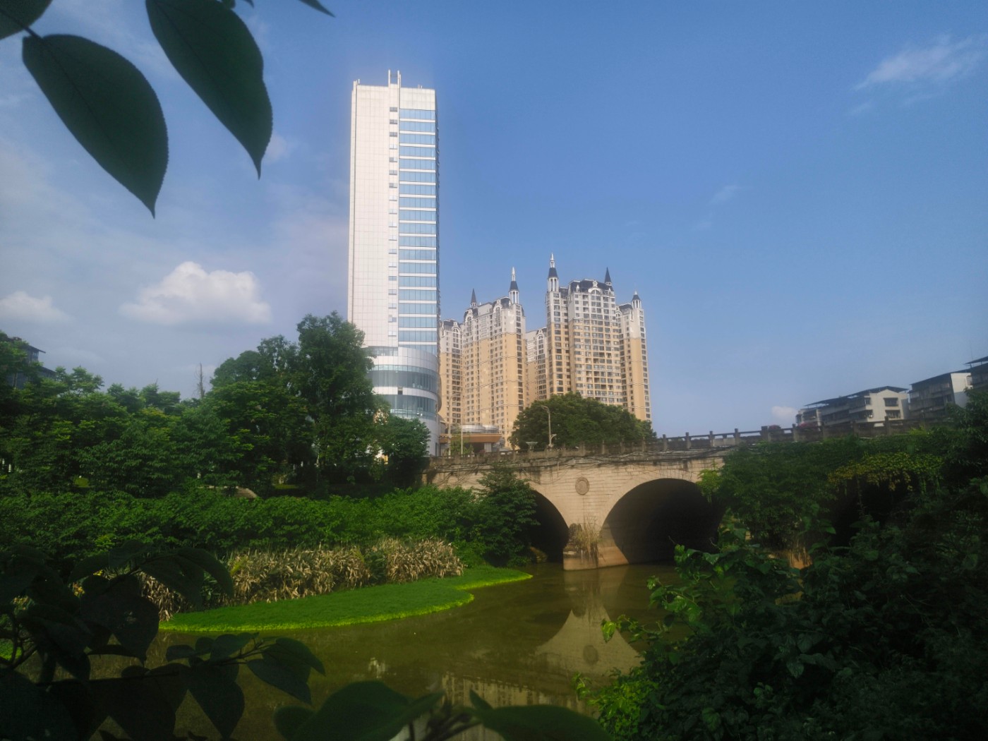 IMG_20260606_161958.jpg