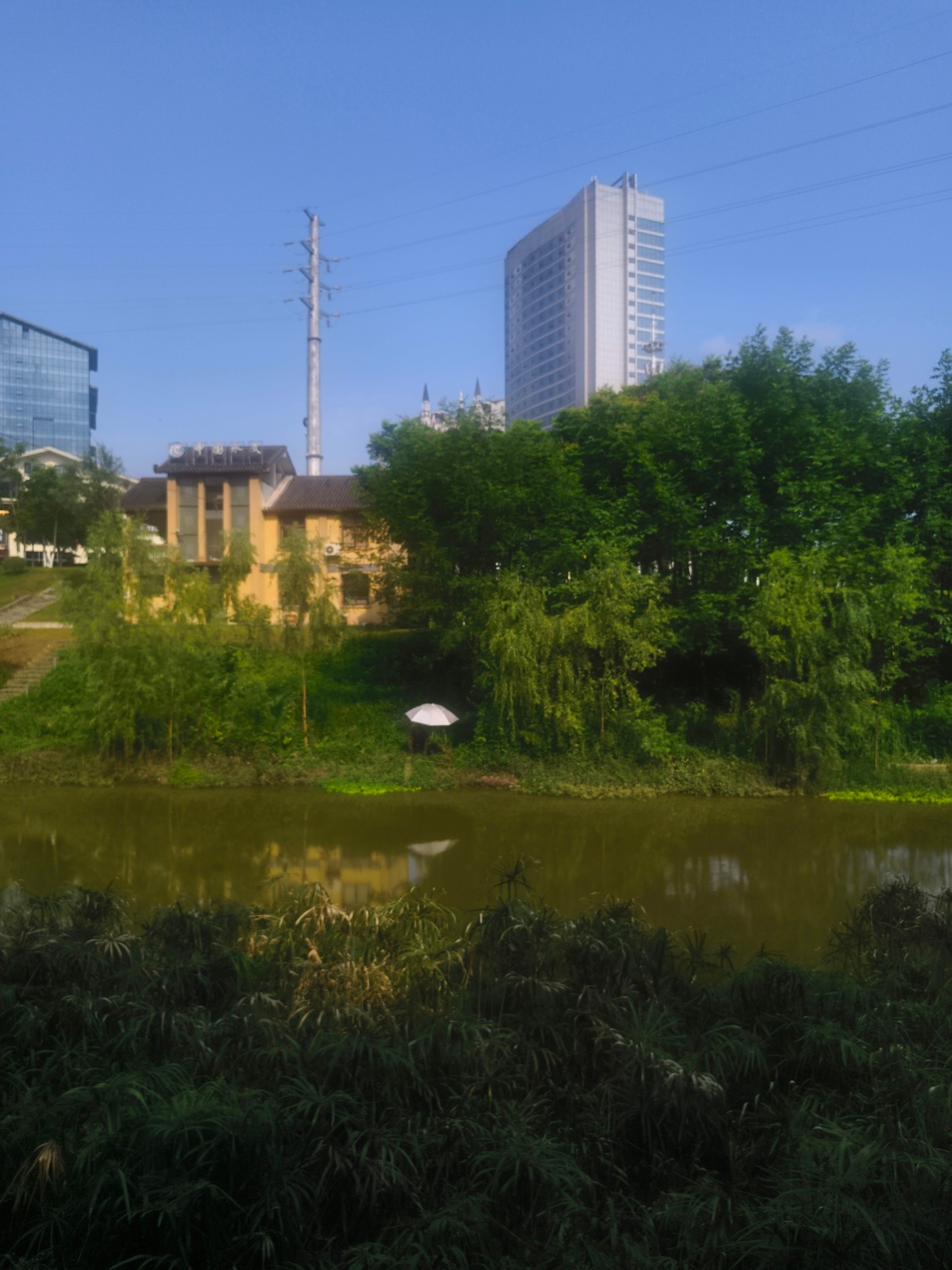 IMG_20260606_162546.jpg