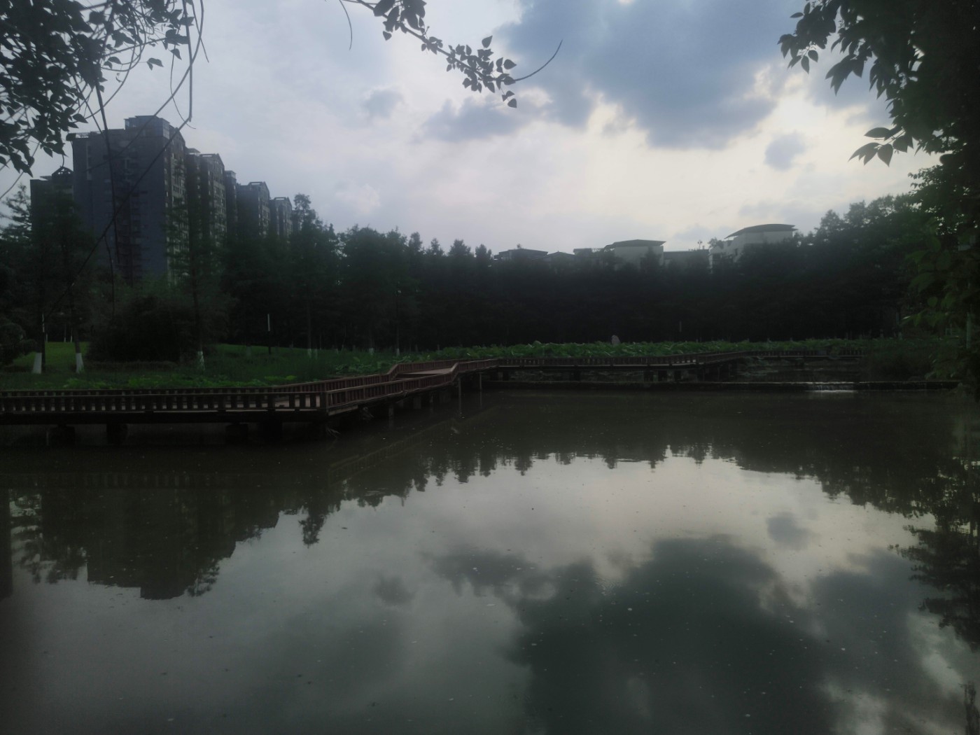 IMG_20260606_164318.jpg