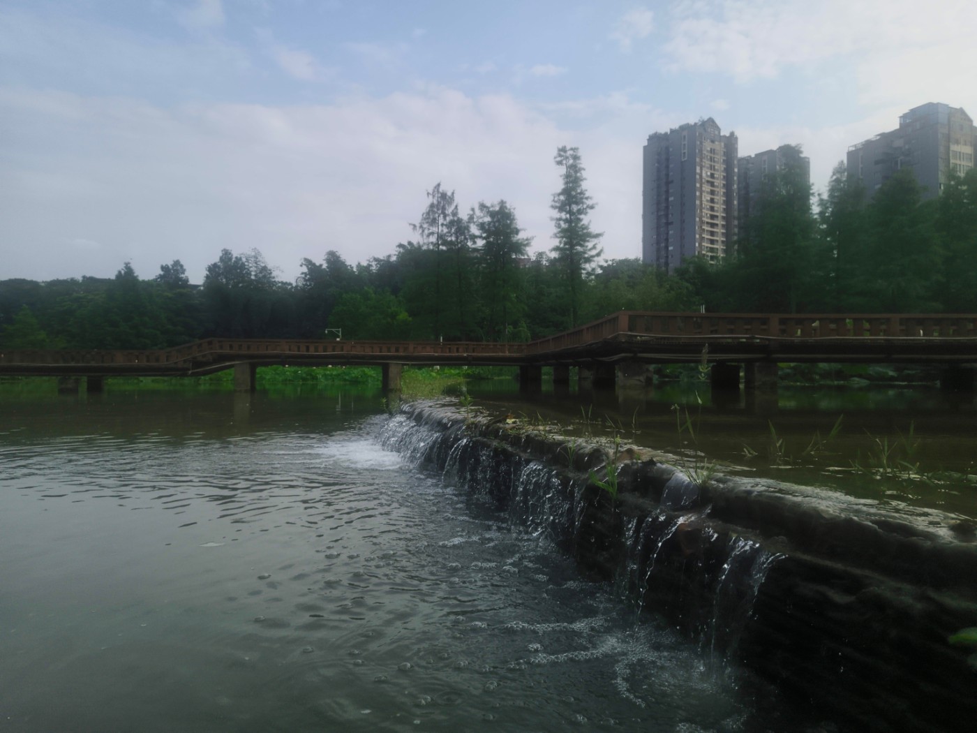 IMG_20260606_164559.jpg