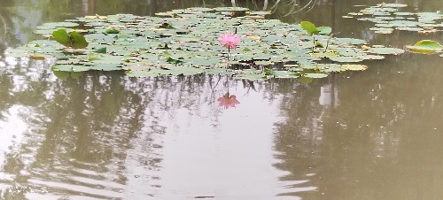 IMG_20260614_103057.jpg