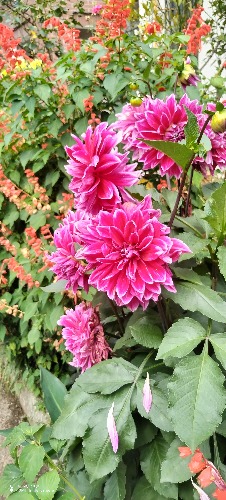 IMG_20260614_103614.jpg