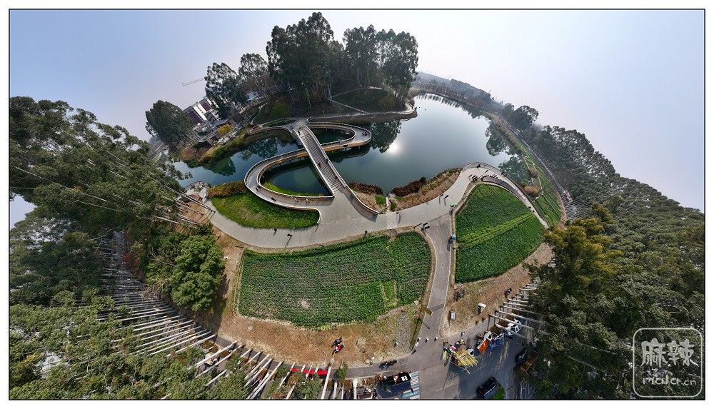 dji_export_20260117_172429_1768641869126_sphere_screenshot.jpg
