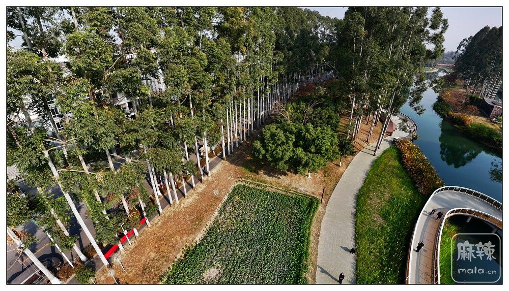dji_export_20260117_171942_1768641582125_sphere_screenshot.jpg