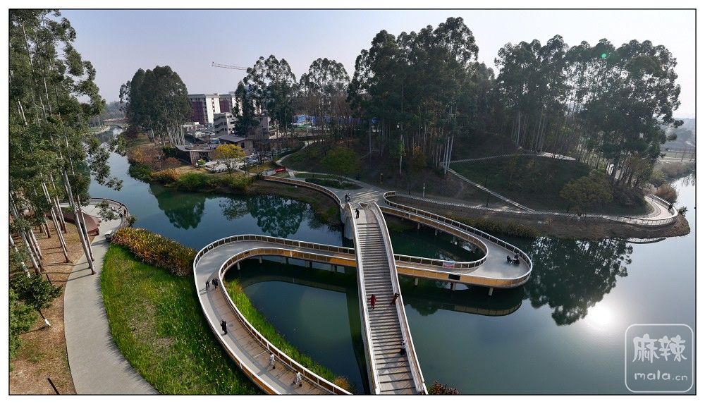 dji_export_20260117_171755_1768641475622_sphere_screenshot.jpg