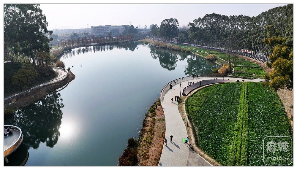 dji_export_20260117_171853_1768641533091_sphere_screenshot.jpg