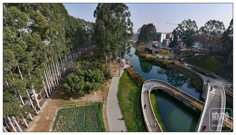dji_export_20260117_171950_1768641590807_sphere_screenshot.jpg