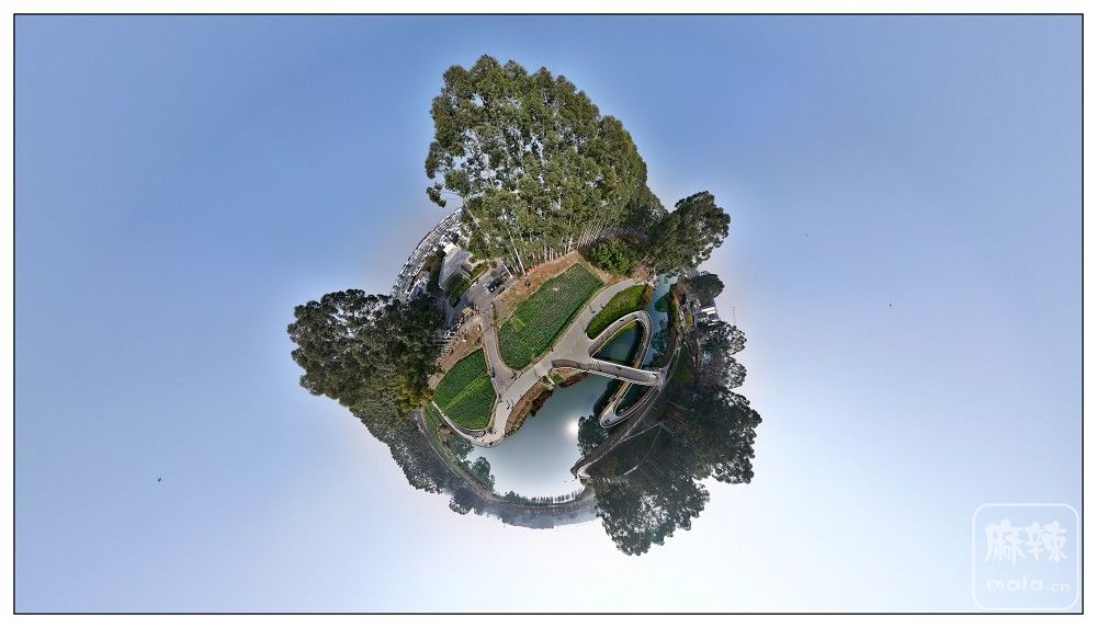 dji_export_20260117_172304_1768641784608_sphere_screenshot.jpg