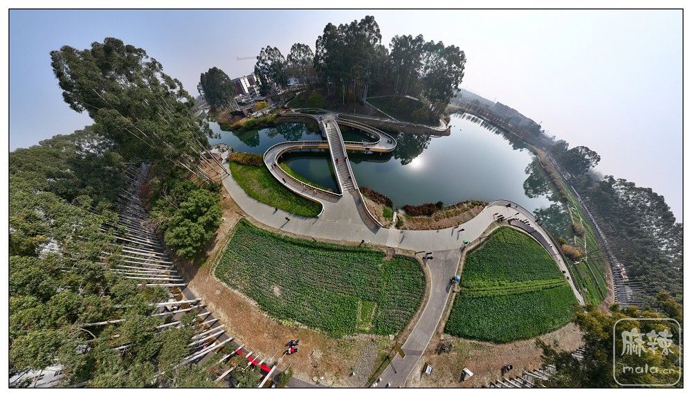 dji_export_20260117_172711_1768642031374_sphere_screenshot.jpg