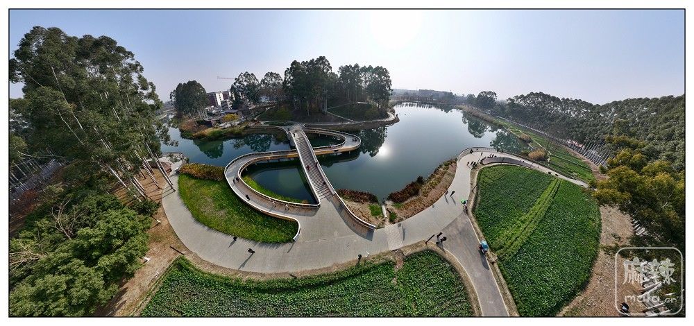 dji_export_20260117_172720_1768642040992_sphere_screenshot.jpg
