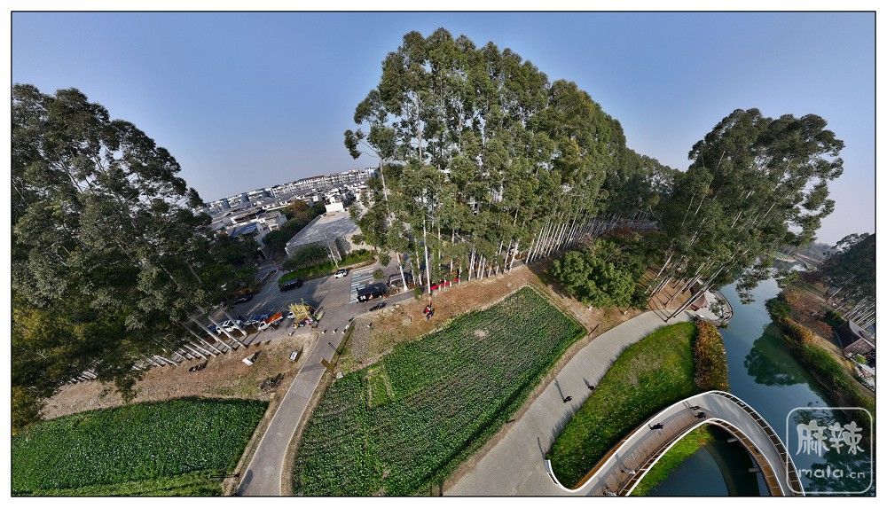 dji_export_20260117_172558_1768641958365_sphere_screenshot.jpg