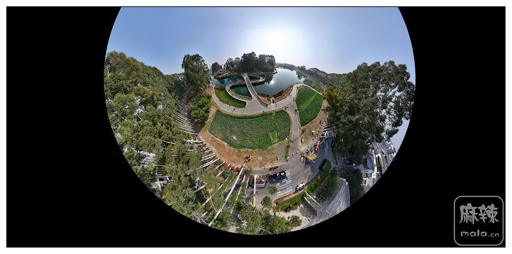 dji_export_20260117_172843_1768642123667_sphere_screenshot.jpg