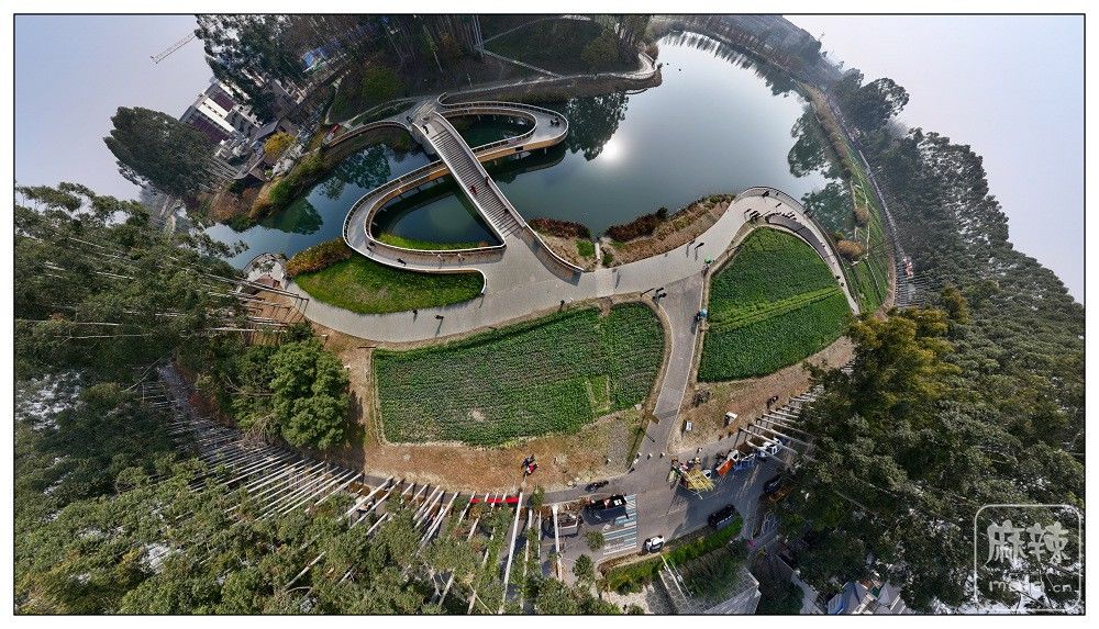 dji_export_20260117_172801_1768642081672_sphere_screenshot.jpg