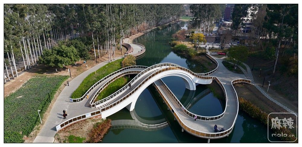 dji_export_20260117_173145_1768642305539_sphere_screenshot.jpg