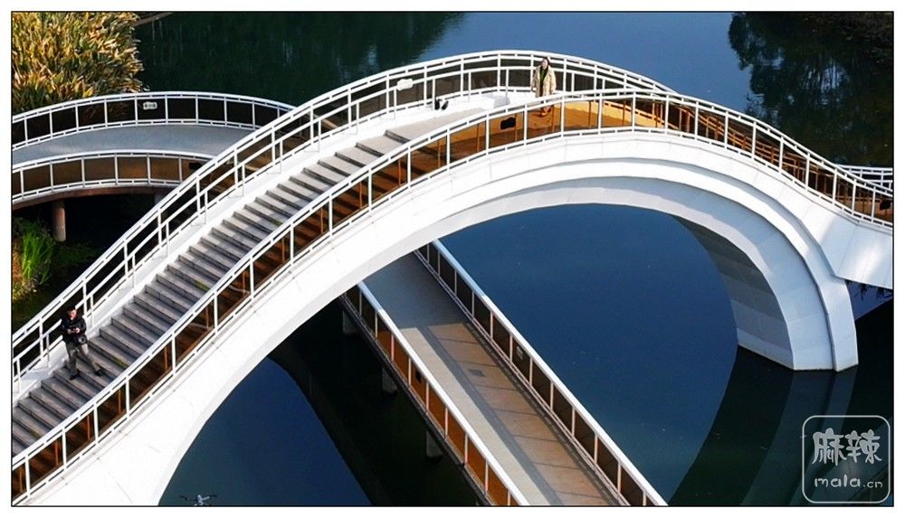 dji_export_20260117_173228_1768642348102_sphere_screenshot.jpg