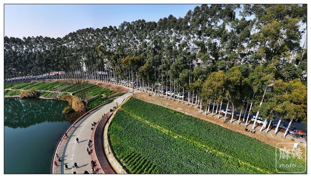 dji_export_20260117_173333_1768642413303_sphere_screenshot.jpg