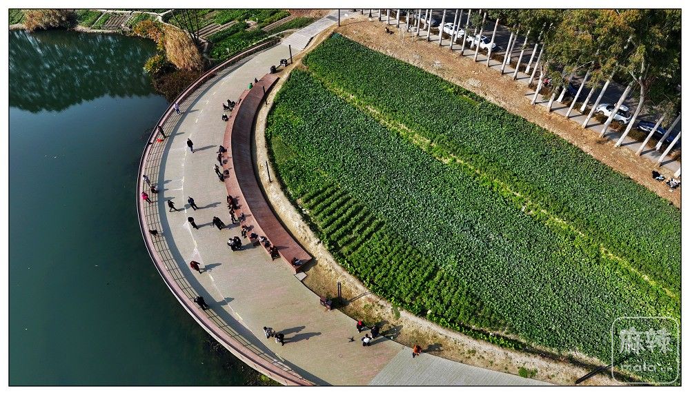 dji_export_20260117_173321_1768642401540_sphere_screenshot.jpg