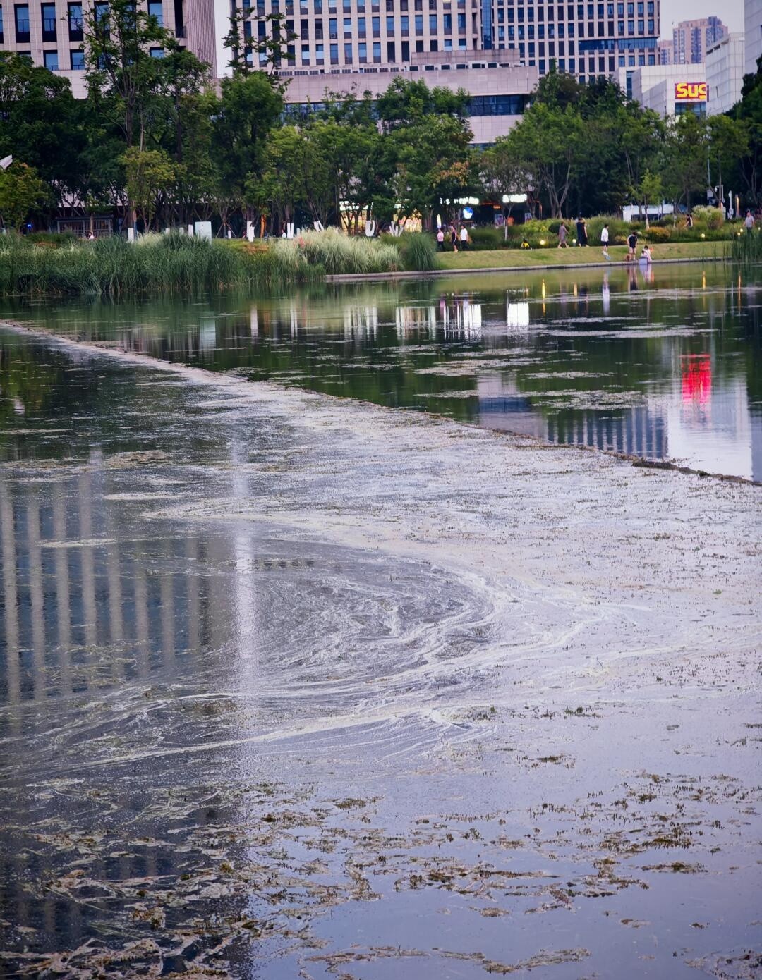 image_2.jpg