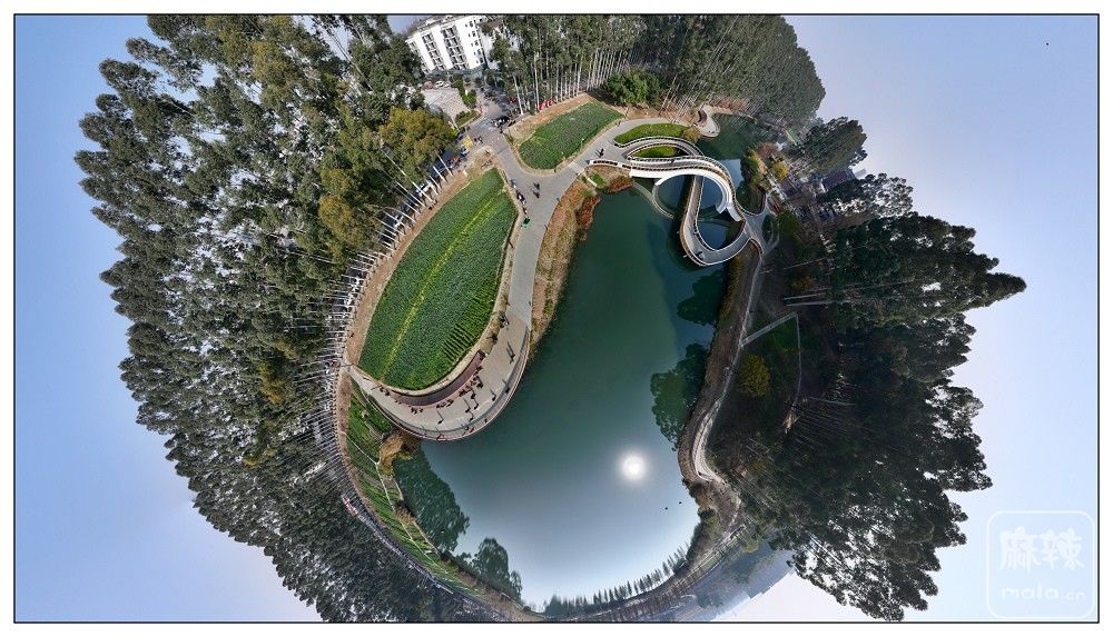 dji_export_20260117_173524_1768642524714_sphere_screenshot.jpg