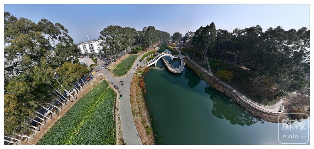 dji_export_20260117_173417_1768642457640_sphere_screenshot.jpg