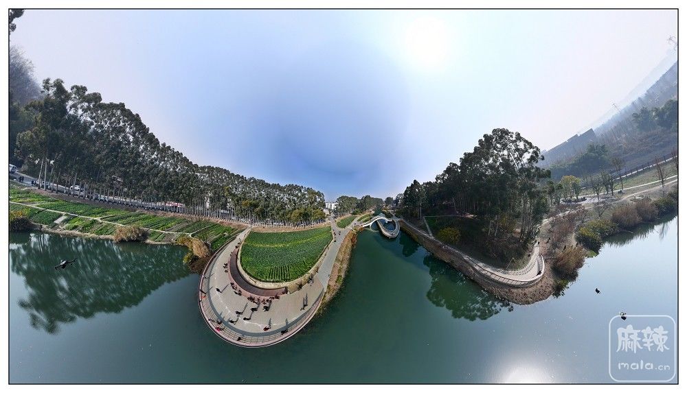 dji_export_20260117_173607_1768642567694_sphere_screenshot.jpg