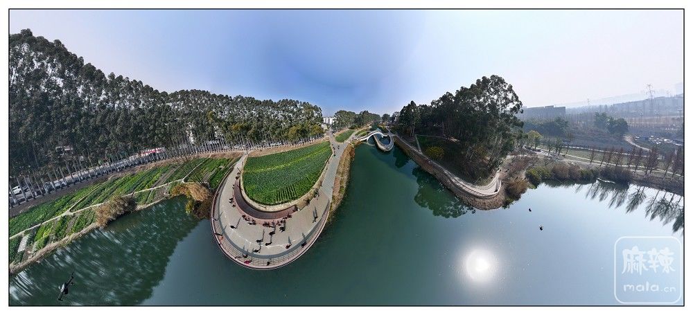 dji_export_20260117_173617_1768642577691_sphere_screenshot.jpg