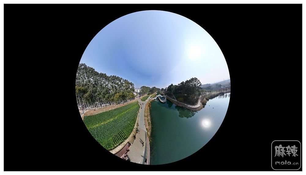 dji_export_20260117_173852_1768642732600_sphere_screenshot.jpg