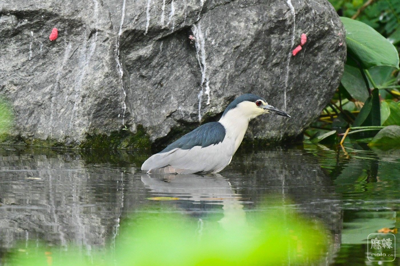 DSC_8230.JPG