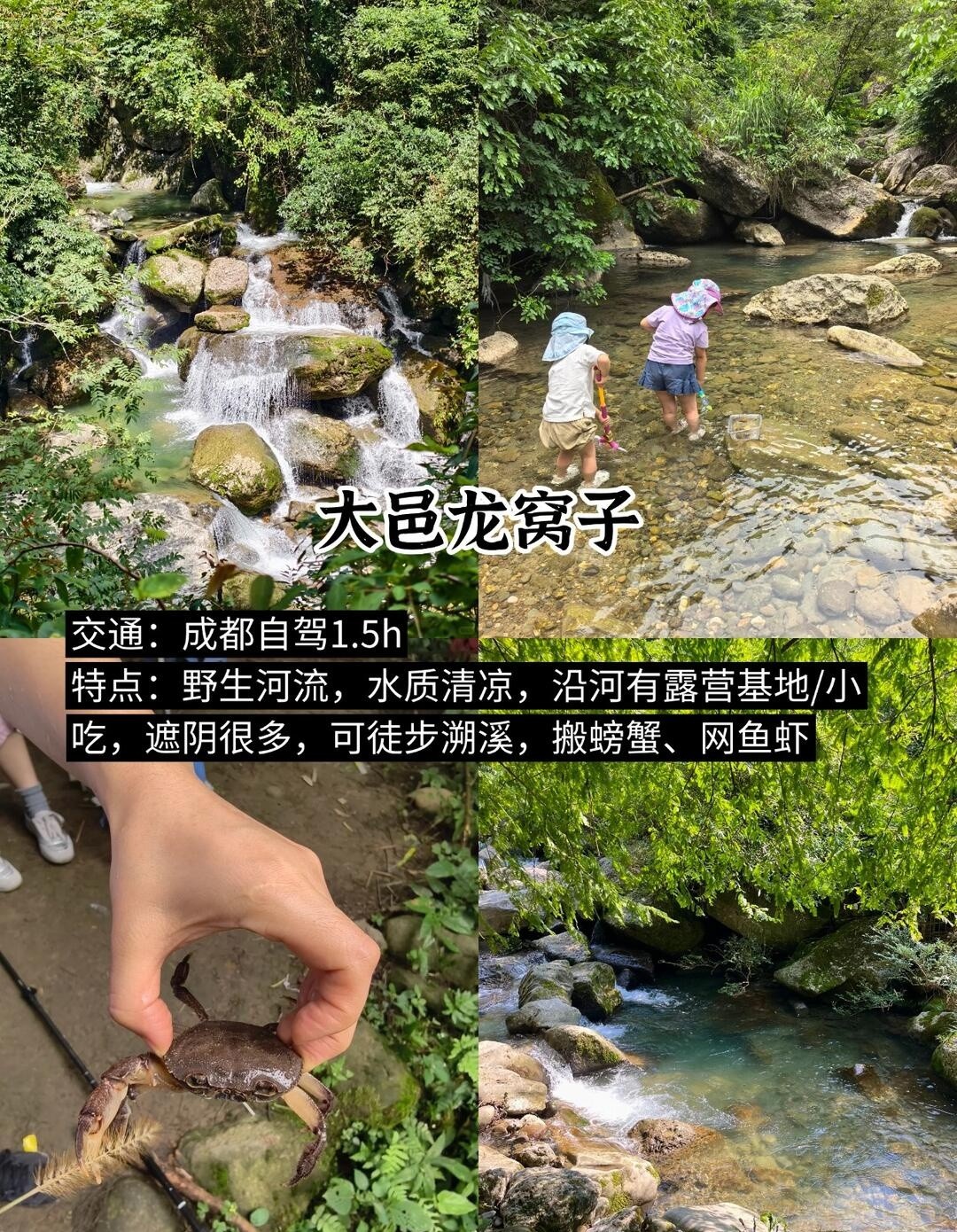 image_4.jpg