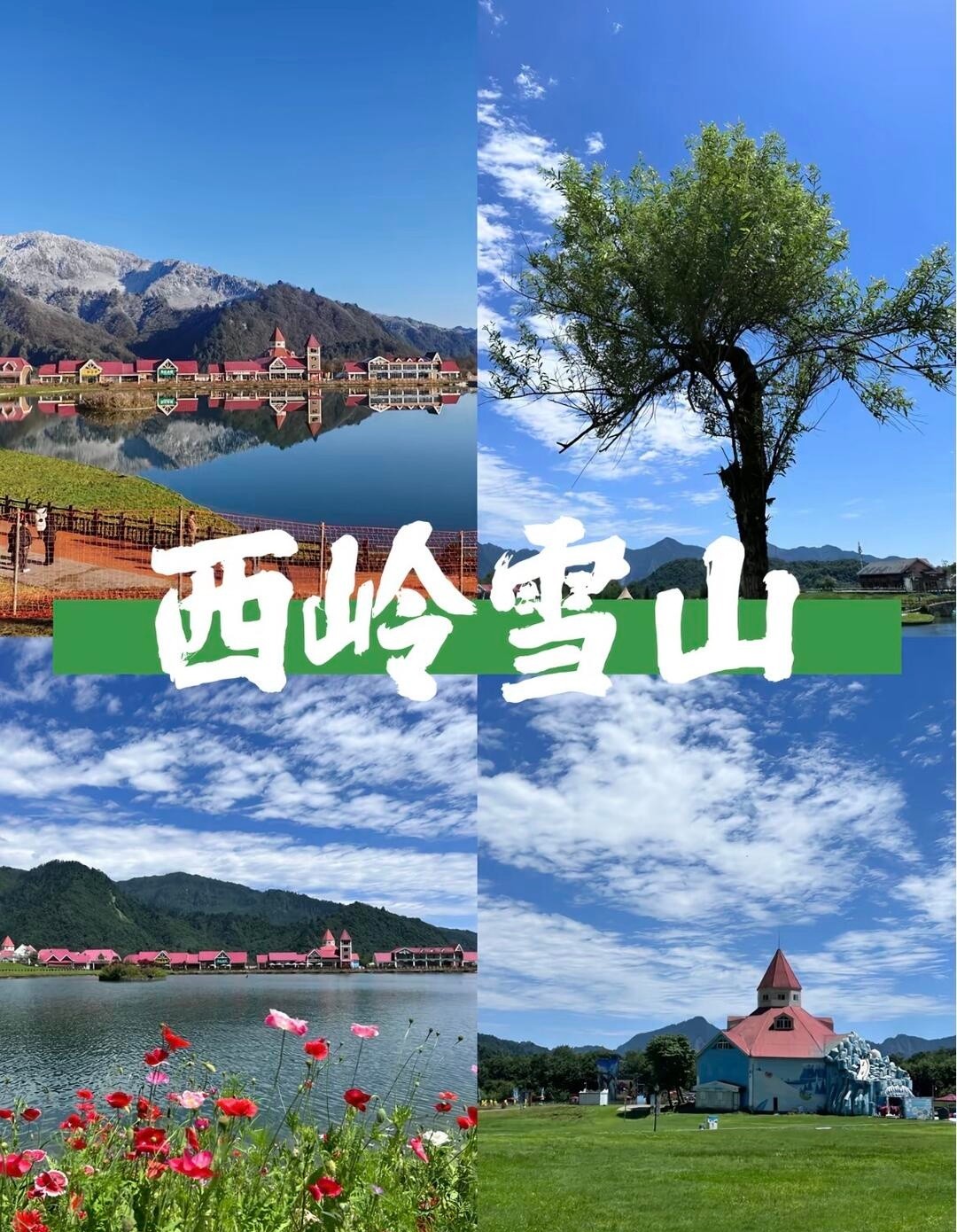 image_8.jpg