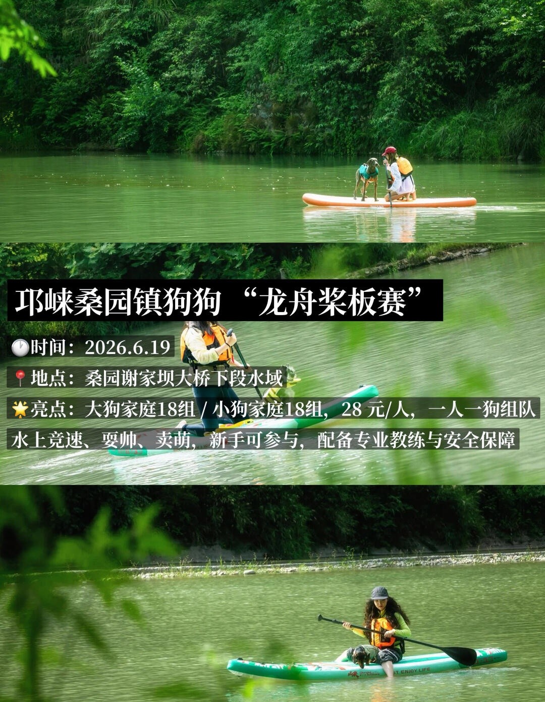 image_11.jpg