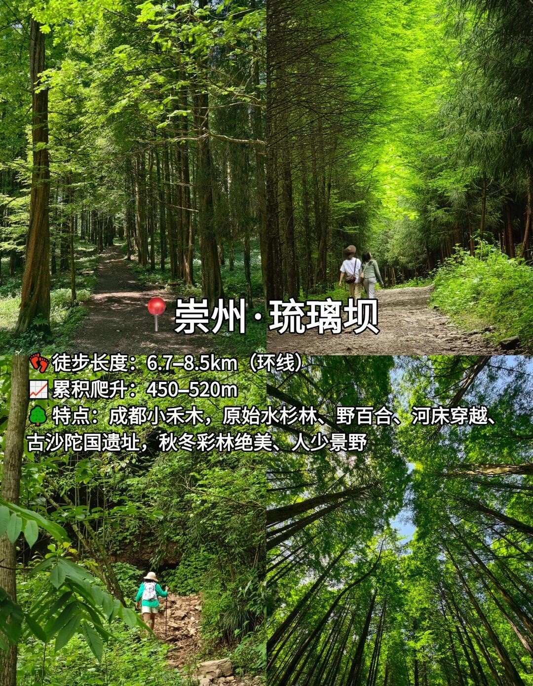 image_5.jpg