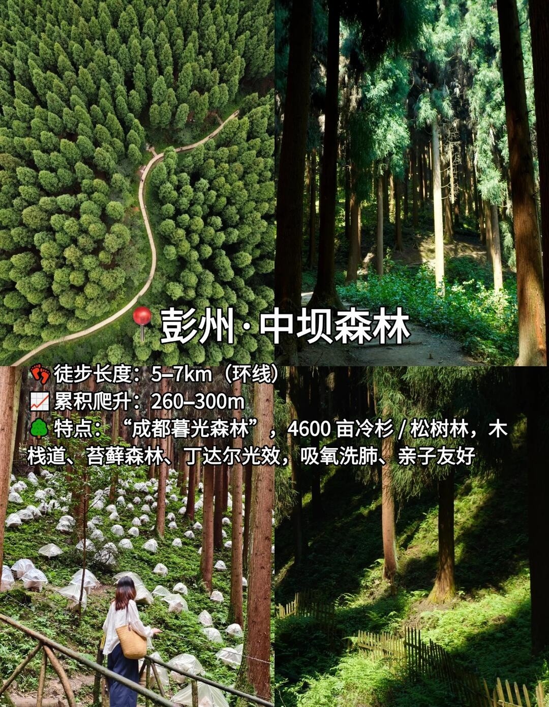 image_3.jpg