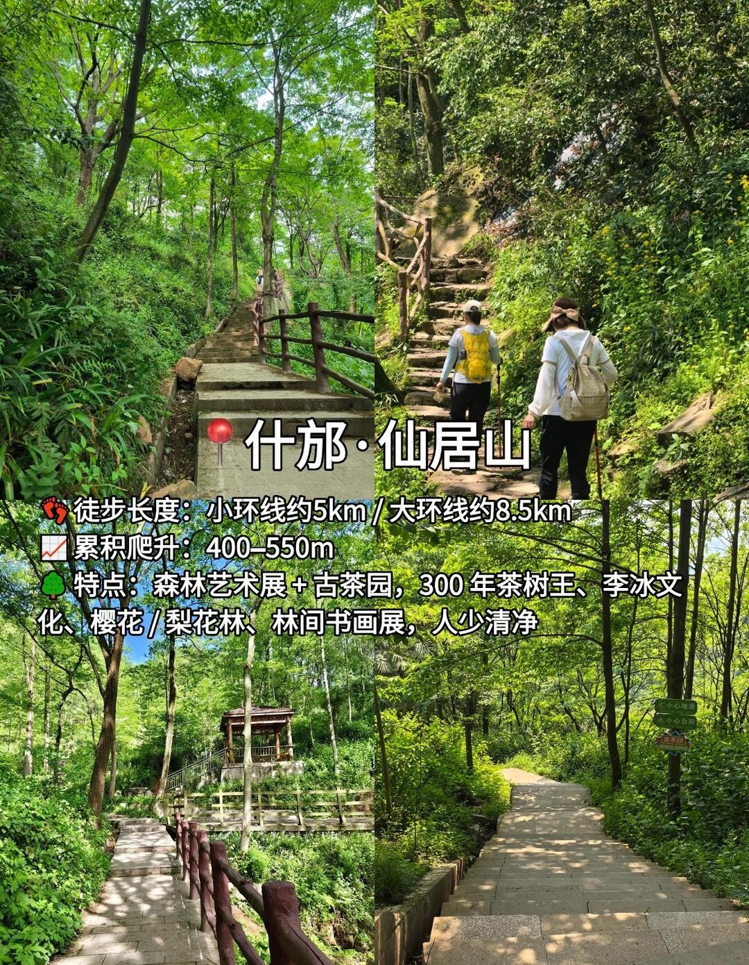 image_4.jpg
