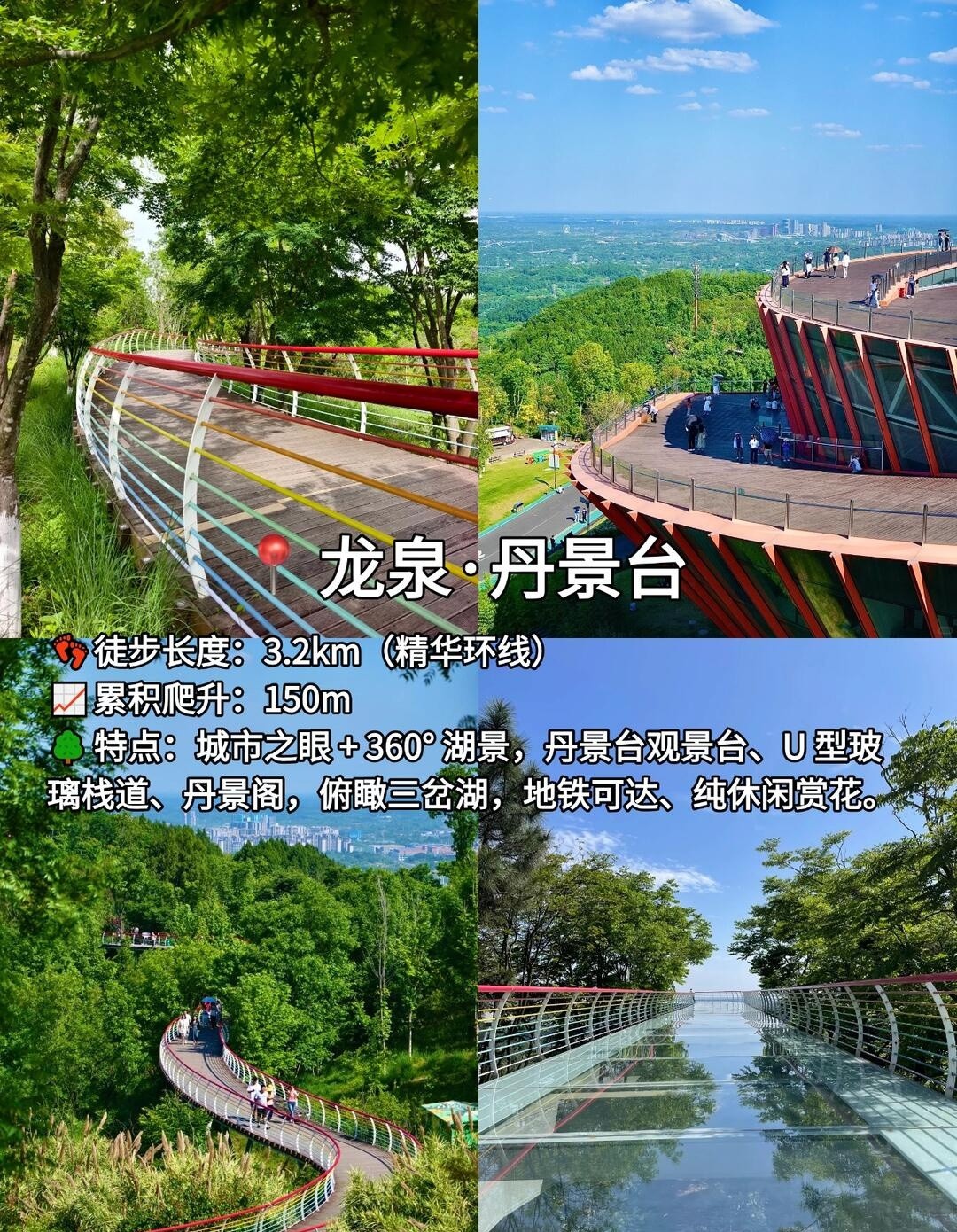 image_9.jpg